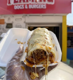 FLAMING DOGS & BURGERS